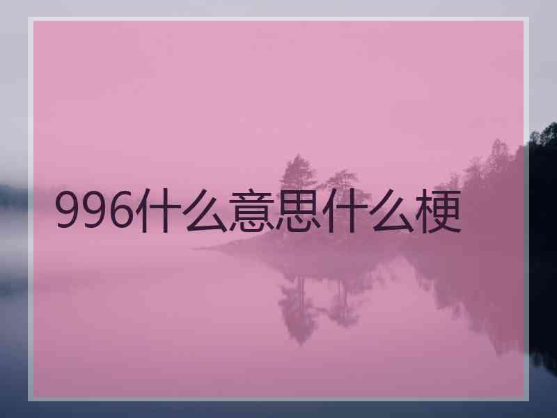 996什么意思什么梗