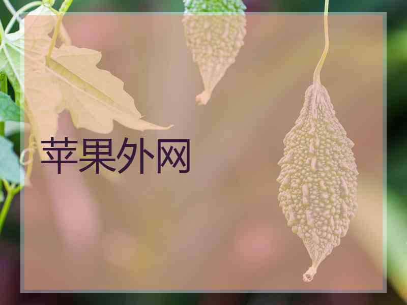 苹果外网