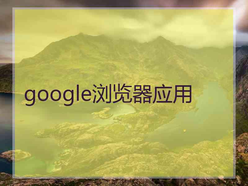 google浏览器应用