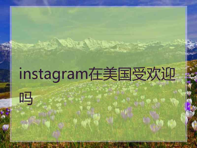 instagram在美国受欢迎吗