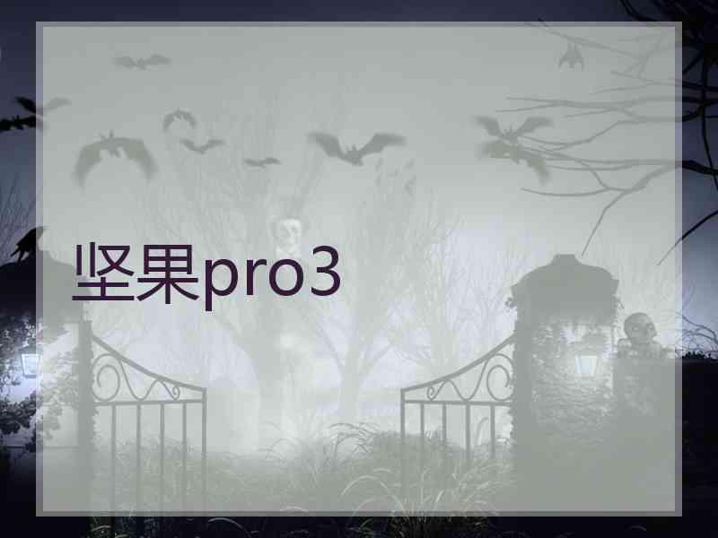 坚果pro3