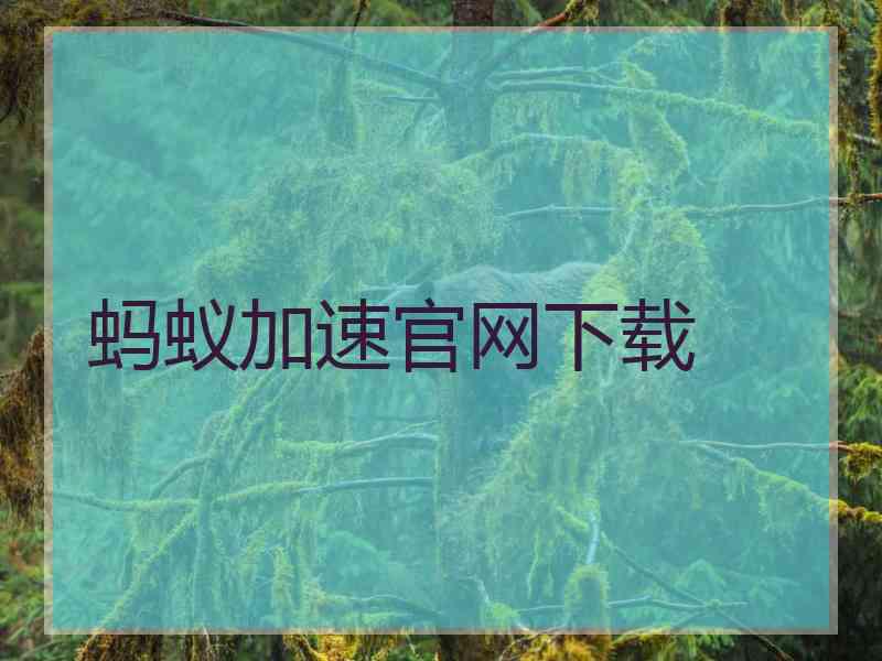 蚂蚁加速官网下载