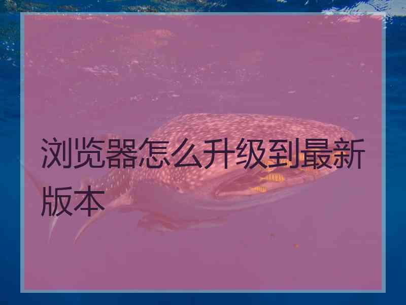 浏览器怎么升级到最新版本