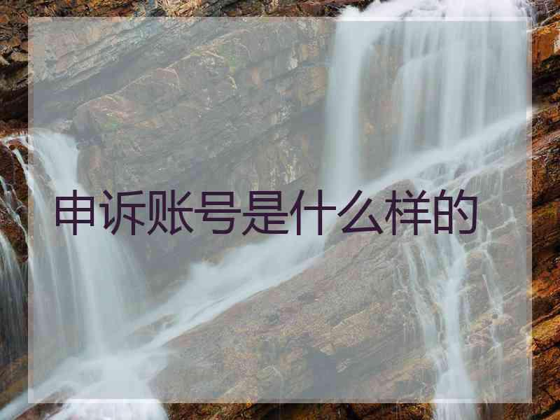 申诉账号是什么样的