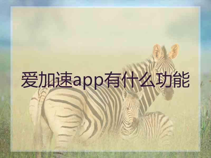 爱加速app有什么功能