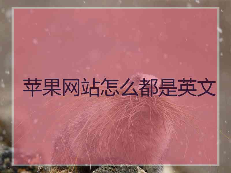 苹果网站怎么都是英文