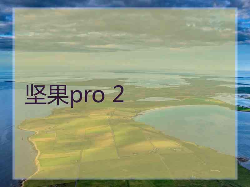 坚果pro 2