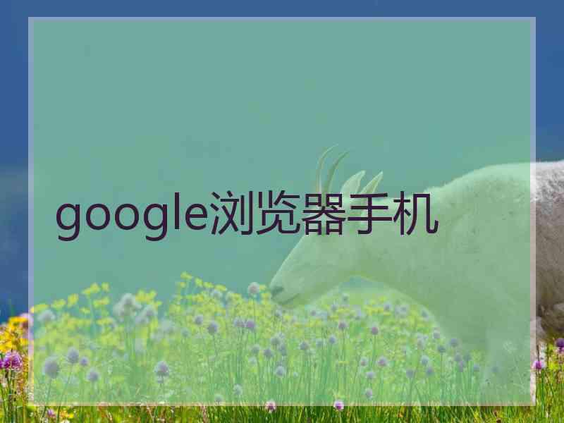 google浏览器手机