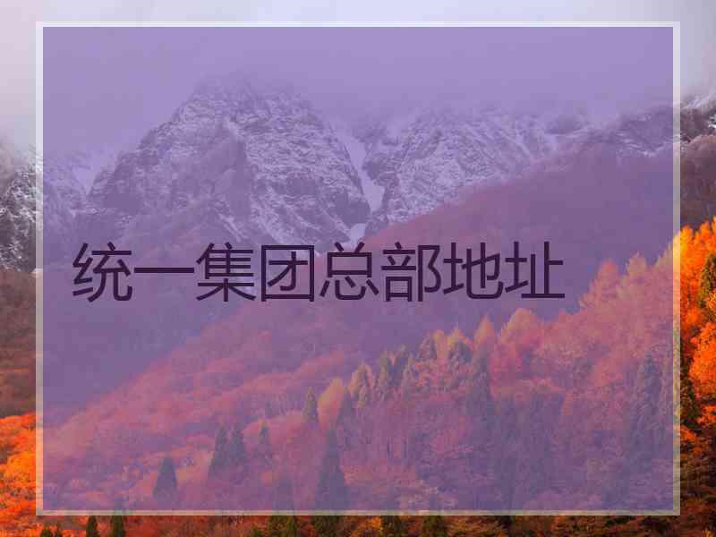 统一集团总部地址