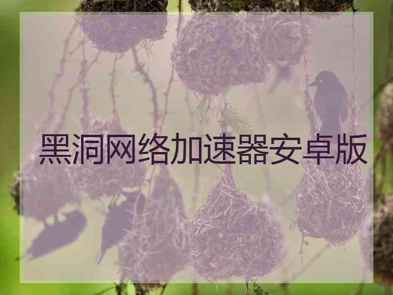 黑洞网络加速器安卓版