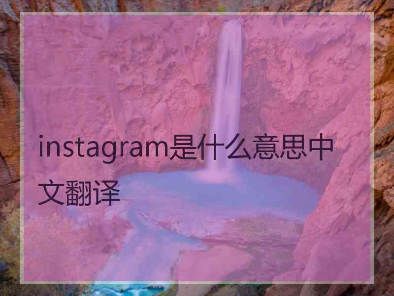 instagram是什么意思中文翻译